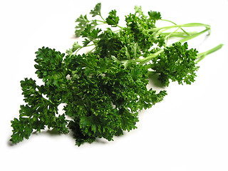 Image showing Fresh parsley on white background