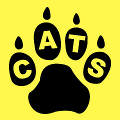 Image showing Cats Paw Represents Pet Care And Feline
