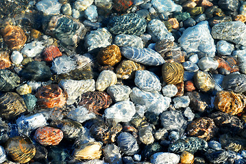 Image showing Colorful pebbles