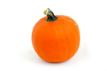 Image showing Pumpkin