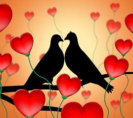 Image showing Love Birds Means Tenderness Wildlife And Compassion