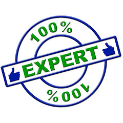 Image showing Hundred Percent Expert Means Excellence Completely And Skills