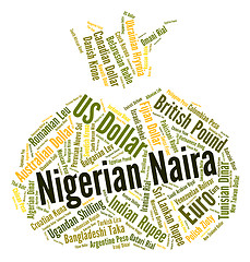 Image showing Nigerian Naira Means Forex Trading And Coin