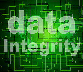 Image showing Integrity Data Means Virtuous Information And Honesty