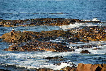 Image showing Rocks in ocean