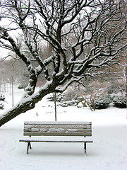 Image showing Winter bench