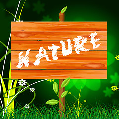 Image showing Natural Nature Means Rural Green And Genuine