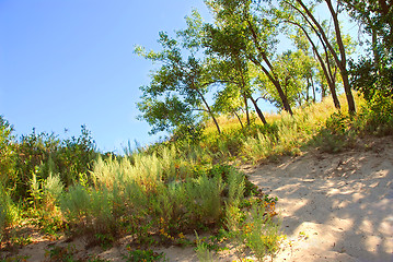 Image showing Sand dunes