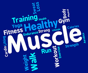 Image showing Muscle Words Represents Weight Lifting And Dumbbell