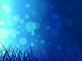 Image showing Grass Bokeh Represents Blank Space And Background