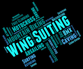 Image showing Wing Suiting Means Sky Divingsky Diver And Parachuting