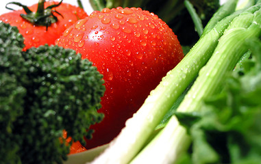 Image showing Fresh wet vegetables