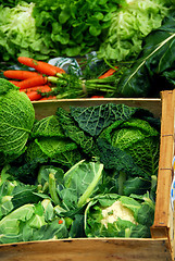 Image showing Vegetables