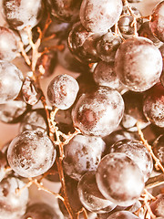 Image showing Retro looking Grape