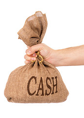 Image showing Money bag