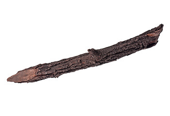 Image showing Tree branch