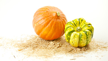 Image showing Pumpkins on White Background