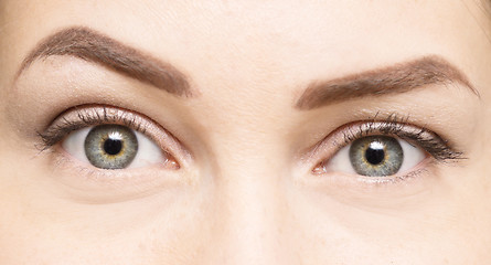 Image showing woman eyes