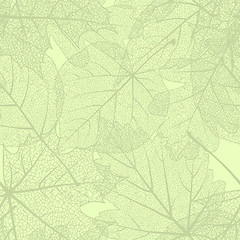 Image showing Detailed leaves seamless background. EPS 10