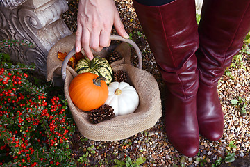 Image showing Woman in red boots picking up basket of fall gourds