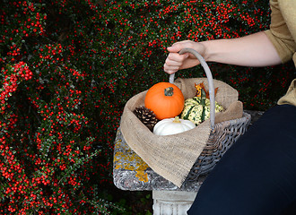 Image showing Woman sitting on bench with a basket of fall gourds