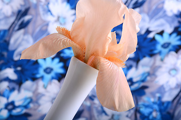 Image showing Beautiful petals of an orange flower on blue background