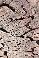 Image showing old wood plaque texture or background