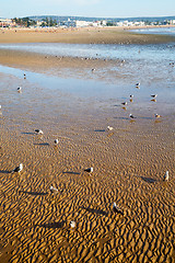 Image showing abstract in   sea africa ocean wave and  bird