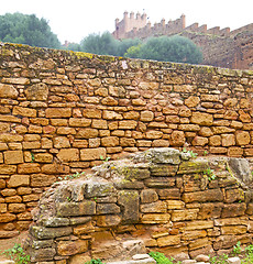 Image showing chellah  in morocco africa the old roman deteriorated monument a