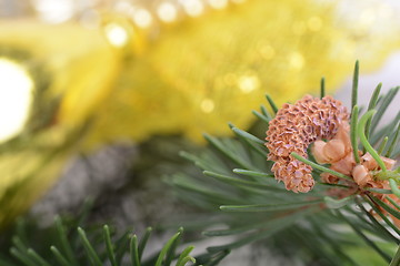 Image showing Image of Christmas tree branch with golden material, festive border, New Year greeting card, magic night, glowing backdrop, xmas decoration, holiday ornament