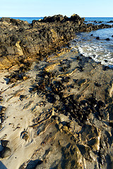 Image showing     madagascar     seaweed    and rock 