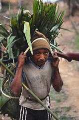 Image showing Man with rifle in Nagaland, India