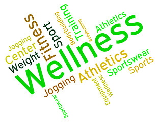 Image showing Wellness Words Means Preventive Medicine And Care