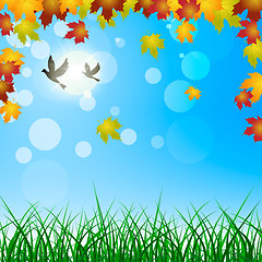 Image showing Leaves Background Shows Blank Space And Botanic