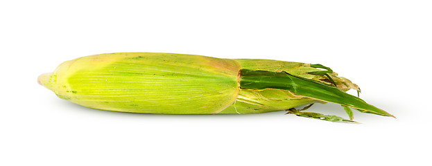 Image showing Crude ripe ear of corn