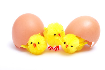 Image showing Eggs with toy chickens