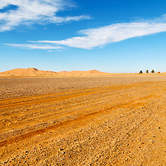 Image showing mountain old fossil in  the desert of morocco sahara and rock  s