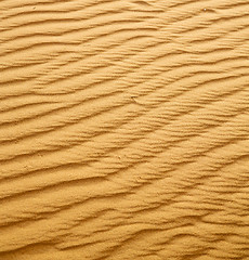 Image showing the brown sand dune in the sahara morocco desert 