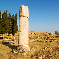 Image showing history pamukkale    old construction in asia turkey the column 