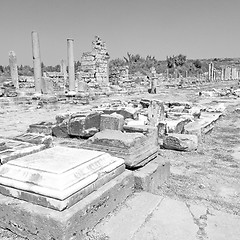 Image showing  stone  in  perge old construction asia turkey the column  and  