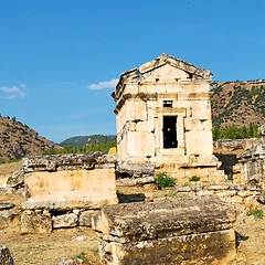 Image showing history pamukkale    old construction in asia turkey the column 