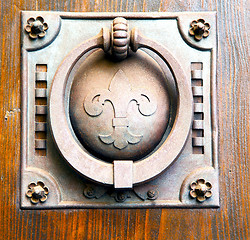 Image showing   knocker in a  door curch  closed wood italy   cross