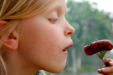 Image showing Barbecue