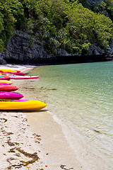 Image showing  boat coastline of a  green lagoon  