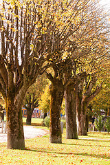 Image showing Green park