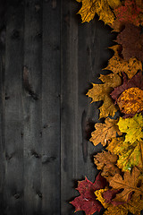 Image showing Wood autumn background