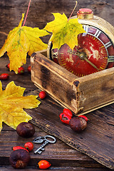 Image showing old alarm clock in the autumn style