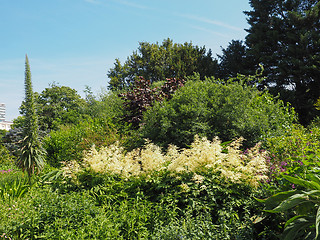 Image showing St James Park in London