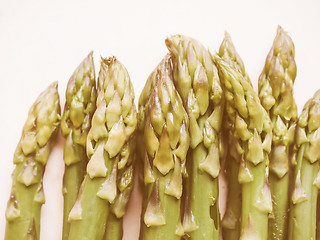 Image showing Retro looking Asparagus vegetable