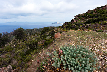 Image showing Autumn landscape. Nisyros, Greek island